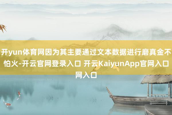 开yun体育网因为其主要通过文本数据进行磨真金不怕火-开云官网登录入口 开云KaiyunApp官网入口