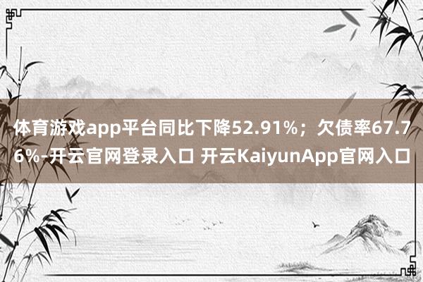 体育游戏app平台同比下降52.91%；欠债率67.76%-开云官网登录入口 开云KaiyunApp官网入口