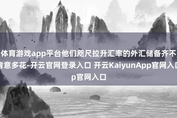 体育游戏app平台他们咫尺拉升汇率的外汇储备齐不肯意多花-开云官网登录入口 开云KaiyunApp官网入口