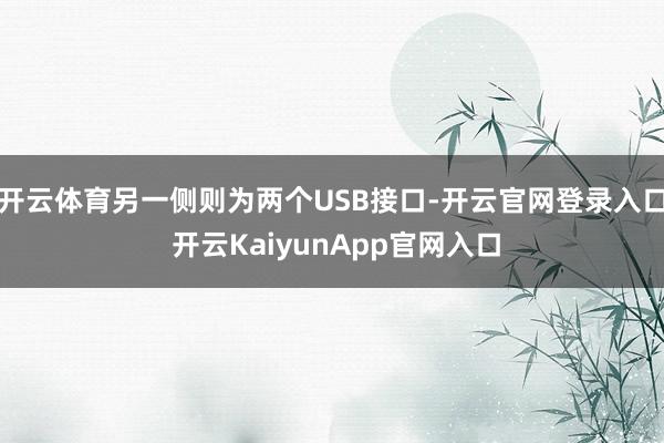 开云体育另一侧则为两个USB接口-开云官网登录入口 开云KaiyunApp官网入口